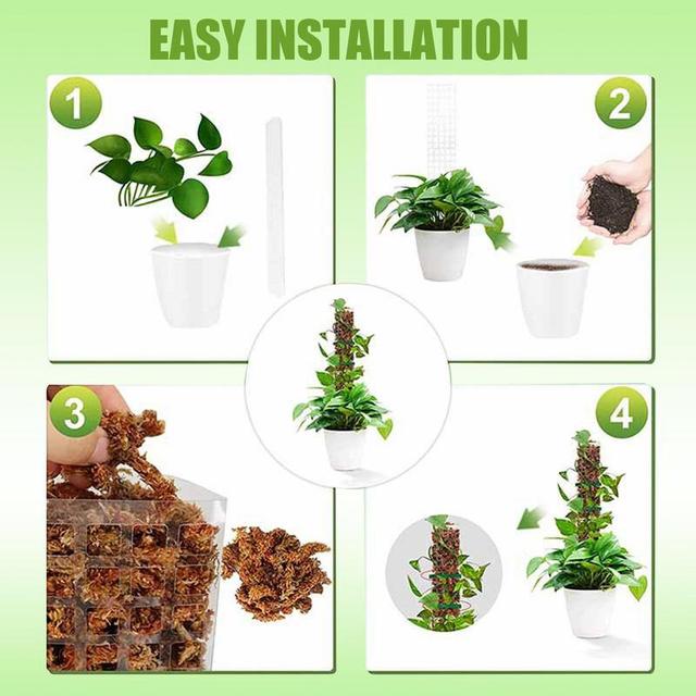 Monstera Moss Pole 24-inch Plant Support Poles Potted Plants Support Moss  Stick Ideal For Small/Medium Climbing Plants Indoor - AliExpress